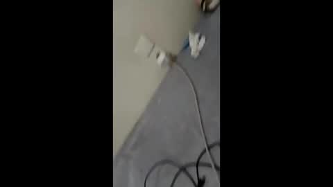 bullspain27266272 online show from January 2025 03:01:02 AM