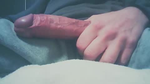 Dutch cock online show from December 2024 08:24:01 AM