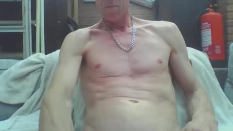 Dutch cock online show from May 2026 11:17:02 AM