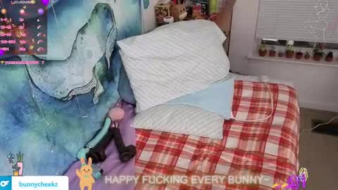 Tokki  bunny  online show from November 2025 07:40:01 AM