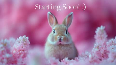 Stella online show from May 2026 09:53:01 PM