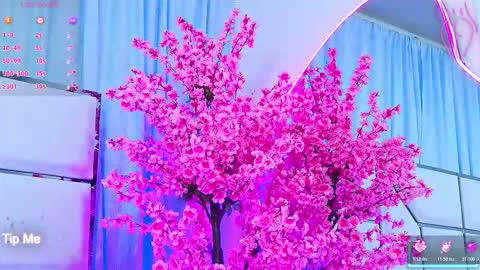 Bunny online show from March 2026 03:12:02 AM