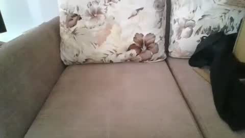 Snapshot of burak20x chatting on October 2025 07:10:02 AM burak20x online show from October 2025 07:10:02 AM