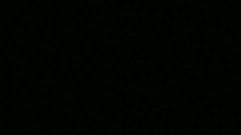 Snapshot of burchut chatting on September 2025 08:14:02 AM Burchut online show from September 2025 08:14:02 AM