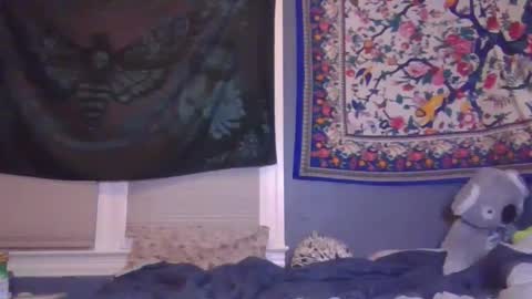 Snapshot of burnthemail chatting on February 2025 06:40:01 AM lilly online show from February 2025 06:40:01 AM