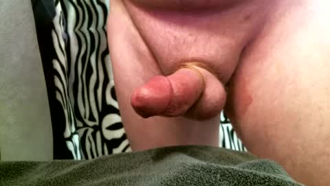 Snapshot of bustinfree chatting on February 2025 03:16:01 PM bustinfree online show from February 2025 03:16:01 PM