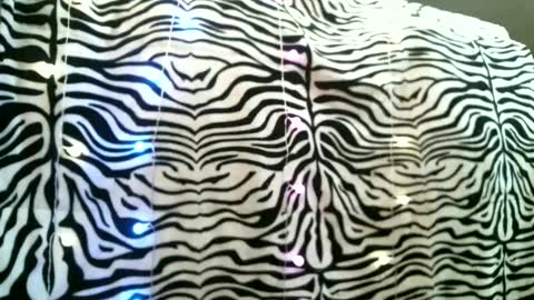 Snapshot of bustinfree chatting on February 2025 03:42:02 PM bustinfree online show from February 2025 03:42:02 PM