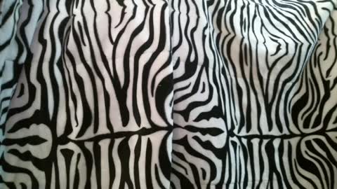 Snapshot of bustinfree chatting on February 2025 03:37:02 PM bustinfree online show from February 2025 03:37:02 PM