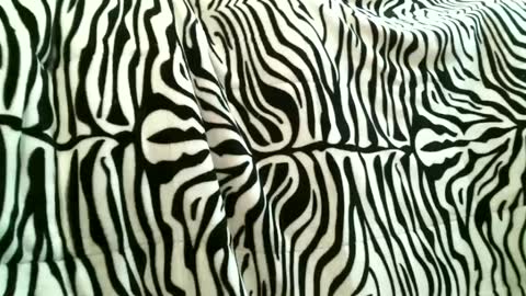 Snapshot of bustinfree chatting on September 2025 03:34:02 PM bustinfree online show from September 2025 03:34:02 PM