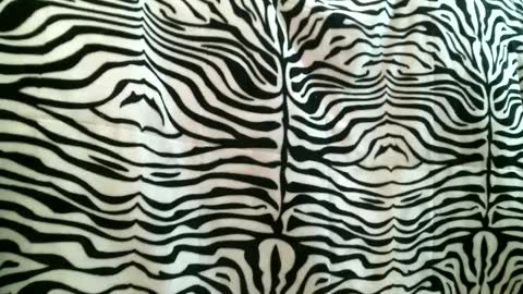 Snapshot of bustinfree chatting on September 2025 03:35:02 PM bustinfree online show from September 2025 03:35:02 PM