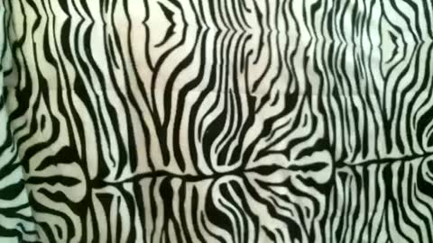 Snapshot of bustinfree chatting on October 2025 12:39:02 PM bustinfree online show from October 2025 12:39:02 PM