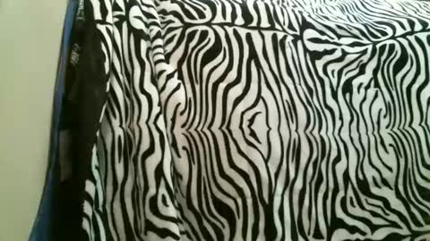 bustinfree online show from February 2026 08:26:02 PM