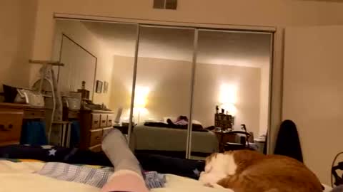 busty_2008 online show from March 2026 03:42:02 AM