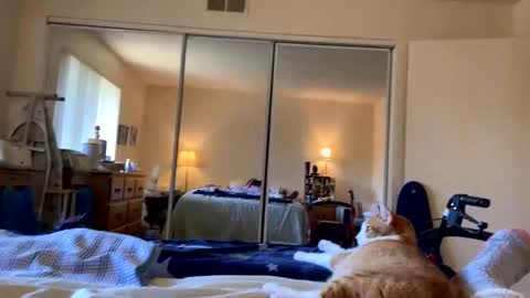 busty_2008 online show from March 2026 12:04:01 AM