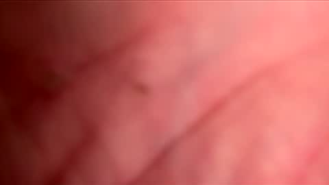 busuzikit1 online show from June 2026 06:41:01 PM
