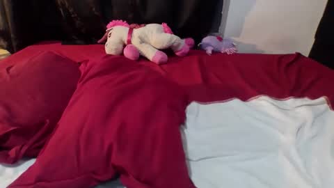 Dylan online show from February 2026 06:37:01 AM