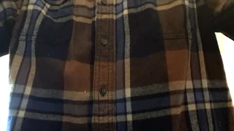 Buzzer online show from February 2026 05:10:01 PM