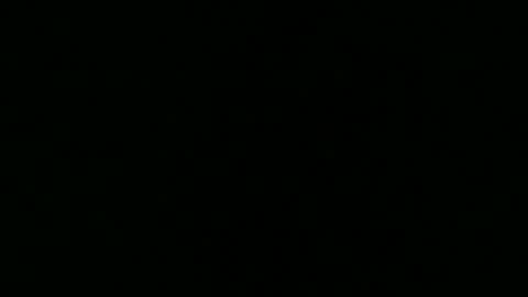 bwcpounderfnts online show from August 2026 02:08:01 PM