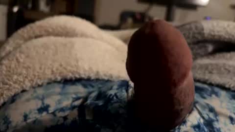 byrdbean online show from January 2026 07:46:02 AM