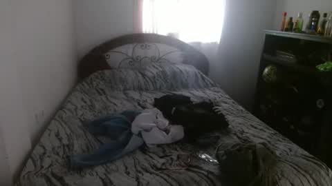 MDaniel online show from March 2026 07:28:02 PM