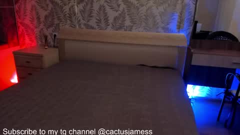 Snapshot of cactusjames_69 chatting on October 2025 11:05:02 PM James online show from October 2025 11:05:02 PM