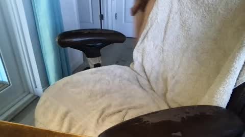 cals16 online show from March 2026 03:59:01 PM