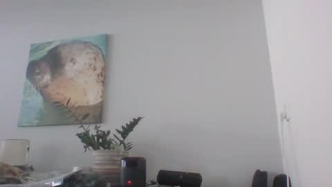 Dave online show from December 2024 12:44:02 PM