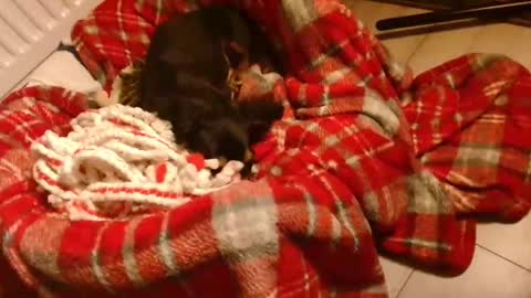 CamDoAttitude online show from January 2025 08:58:01 PM