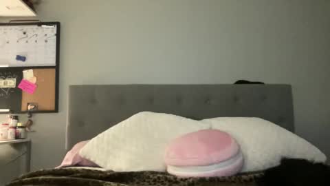 Camila Cruz online show from February 2026 03:22:02 AM