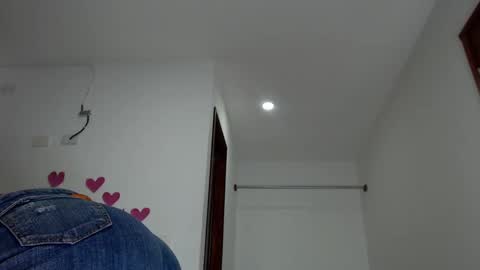Snapshot of camille_20 chatting on December 2024 01:18:01 AM Camille online show from December 2024 01:18:01 AM