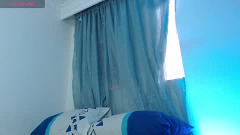 Snapshot of camilo_contre21 chatting on January 2025 08:11:02 PM camilo_contre21 online show from January 2025 08:11:02 PM