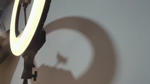 Snapshot of camiloalvarezzz3 chatting on March 2026 01:06:02 PM CAMILO online show from March 2026 01:06:02 PM