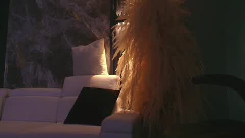 CAMILO  online show from June 2026 11:41:02 AM