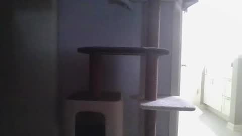 cammyman6900 online show from November 2025 04:22:01 AM