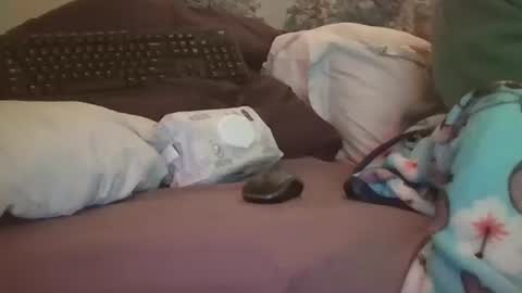 Candi online show from February 2026 06:40:02 AM