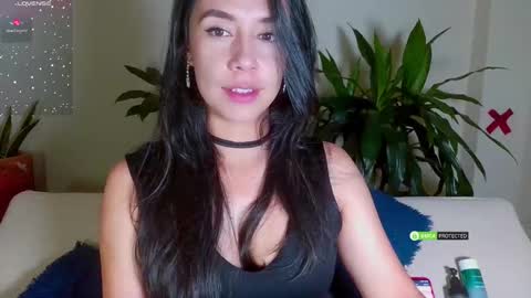 Candy - online show from February 2025 08:22:02 AM