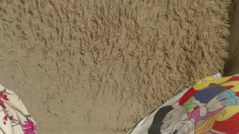 say meow and send tip  online show from February 2025 08:05:01 PM