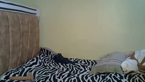 Snapshot of carlex_ chatting on March 2025 02:40:01 PM carlex_ online show from March 2025 02:40:01 PM