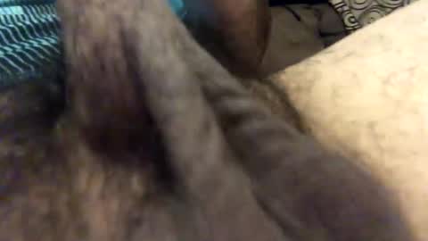 carlitos34m906127 online show from February 2026 08:51:01 AM