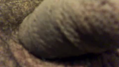 carlitos34m906127 online show from February 2026 10:01:01 AM