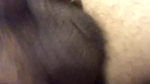 carlitos34m906127 online show from February 2026 10:56:02 AM