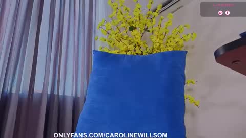  Caroline Willsom  online show from January 2026 10:13:02 PM