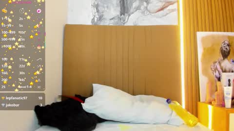 OSNA online show from March 2026 08:19:01 AM