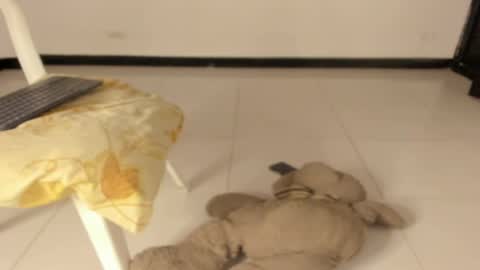 Snapshot of carolinnagomez chatting on March 2026 12:22:01 PM Caro online show from March 2026 12:22:01 PM