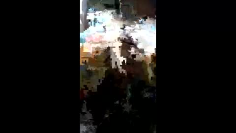 Snapshot of carrilloeverardo219 chatting on March 2026 11:31:02 PM carrilloeverardo219 online show from March 2026 11:31:02 PM