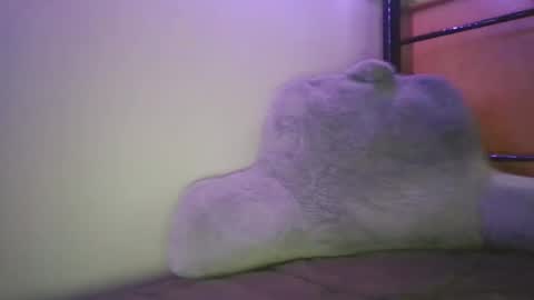 Casey Joe online show from February 2026 03:00:02 AM