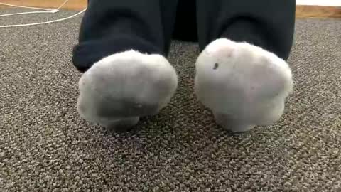 cash13bychanel online show from November 2025 07:34:02 PM