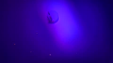 Snapshot of casidy1 chatting on January 2025 06:00:01 AM casidy1 online show from January 2025 06:00:01 AM