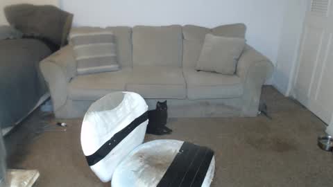 CasinoCam online show from January 2025 09:14:02 PM