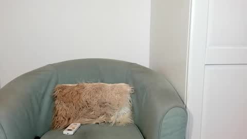 Snapshot of cassieandmarco chatting on March 2026 11:13:01 AM cassiecute - onlyfans account online show from March 2026 11:13:01 AM